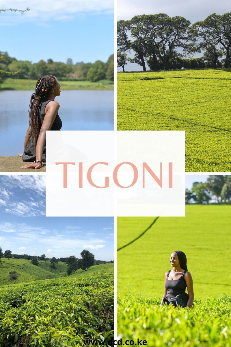Hike to Tigoni, Limuru
